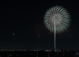 幕張ビーチ花火フェスタ