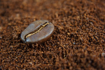 Fototapeta na wymiar Nahaufnahme einer einzelnen Kaffeebohne auf Kaffeemehl gelagert
