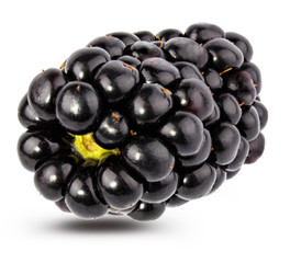 Blackberry isolated on white background with clipping path