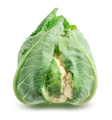 Cauliflower isolated on white background with clipping path
