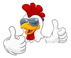 A chicken rooster cockerel bird cartoon character in cool shades or sunglasses peeking over a sign and giving a double thumbs up