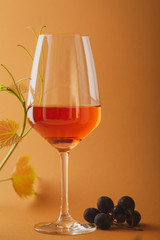 One wine glass and grape branch and berry