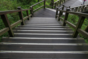 The walkway from wood in Alishan forest at Alishan national park, taiwan