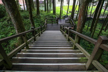 The walkway from wood in Alishan forest at Alishan national park, taiwan