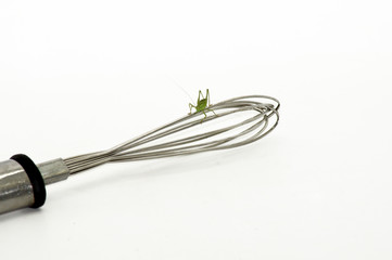 Grash&uuml;pfer auf Schneebesen freigestellt auf wei&szlig;em Hintergrund