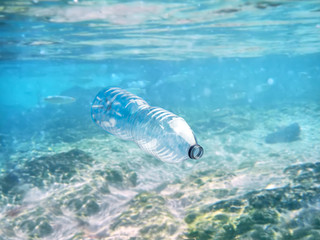 Fototapeta premium plastic bottle floats in the clear ocean