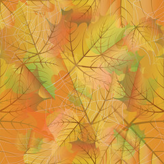Autumn seamless background with maple leaves and spider web, vector illustration