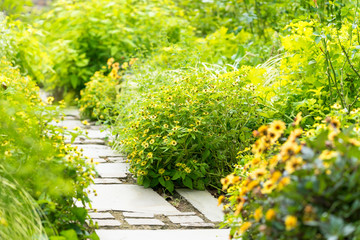 秋のアカオハーブ＆ローズガーデン