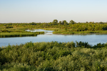 Ishim River. The nature of northern Kazakhstan. Sunrise.