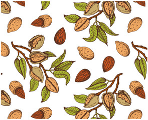 Vector illustration of sketch hand drawn pattern with colorful branches almond nuts, tree. Vintage,organic, vegan, food, floral background. Botanical plants drawing wallpaper. Line Art, engraving