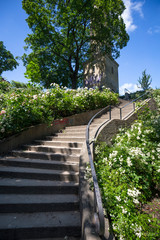 Wasserturm (water tower), Berlin-Prenzlauer Berg.