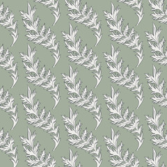 Cardoon thistle leaves seamless repeat vector pattern swatch.  Botanical Damask.  Faded flat colors.