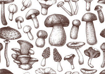 Edible mushrooms vector Background. Forest plants seamless pattern. Perfect for recipe, menu, label, icon, packaging. Vintage mushrooms design. Healthy food elements.