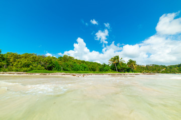 Pointe de la Saline beach seen from the water in Guadeloupe