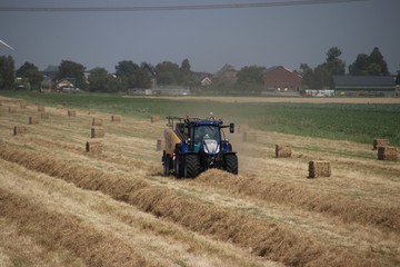 Fototapeta premium Farmer is packing dried Hay to blocks to store during hot summer day in Zevenhuizen, the Netherlands
