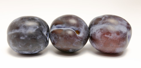 beautiful plum on a white background