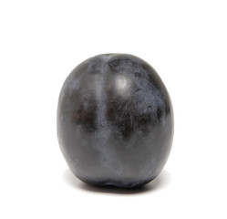 beautiful plum on a white background
