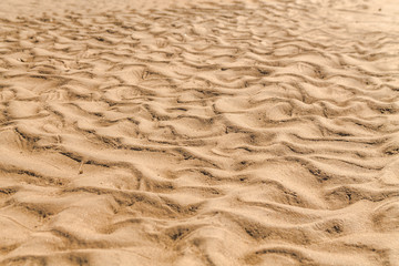 Golden waves texture of sand dunes on river bank