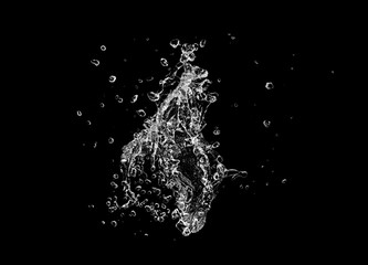 Obraz premium water Splash isolate On Black.