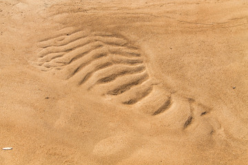 Golden waves texture of sand dunes on river bank