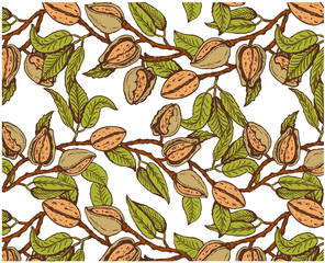 Vector illustration of sketch hand drawn pattern with colorful branches almond nuts, tree. Vintage,organic, vegan, food, floral background. Botanical plants drawing wallpaper. Line Art, engraving