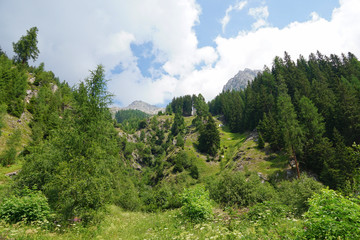 Fototapeta na wymiar Antholzer See, Südtirol