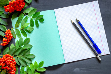 Back to school: rowan branch, notebook, pencils and pen. School autumn theme by September 1.