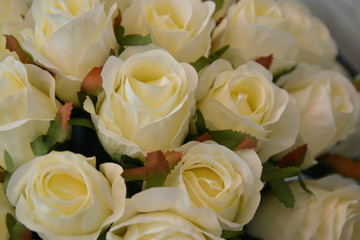 Bridal, wedding white roses bouquet. Beautiful flowers.