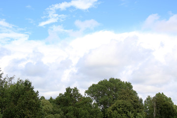 Obraz premium cumulus clouds over the trees