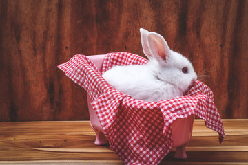 A white rabbit sitting on a red cloth behind the brown wood.