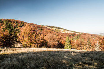 autumn Beskid Zywiecki mountains with meadows, colorful forest and clear sky