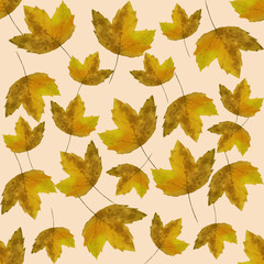 Watercolor autumn nature seamless pattern. Hand drawn texture with yellow tree leaves on yellow background. Beautiful season wallpaper.