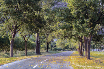 Naklejka premium Autumn in the park