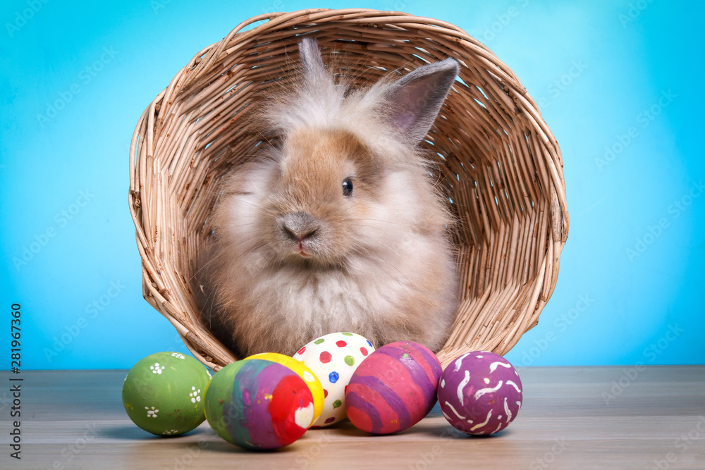 Wall mural cute little rabbit in a basket decorated with colorful eggs happy easter!