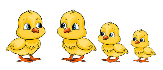 Cute cartoon baby chick animal vector illustration