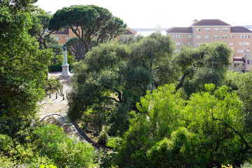 View of the La Alameda Gibraltar Botanic Gardens in Gibraltar