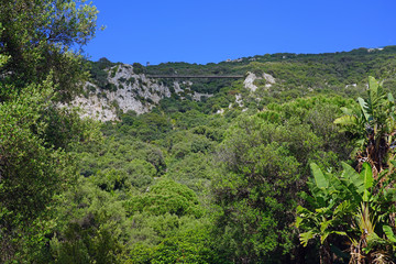 Fototapeta na wymiar View of the La Alameda Gibraltar Botanic Gardens in Gibraltar