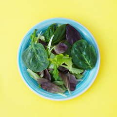 Fresh mixed green salad in round plate, colorful yellow background. Healthy food, diet concept. Top view, square image.
