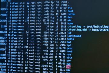 Computer screen - Hacker view. Cyber risk in an Internet of Things world 