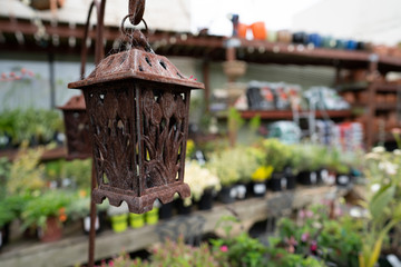 Rusty metal hanging lantern with spider webs outdoors at nursery garden