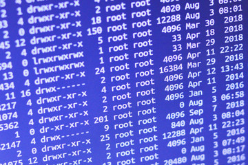 Shows the root of the disk on the server. The screen of the text monitor in the Linux system.