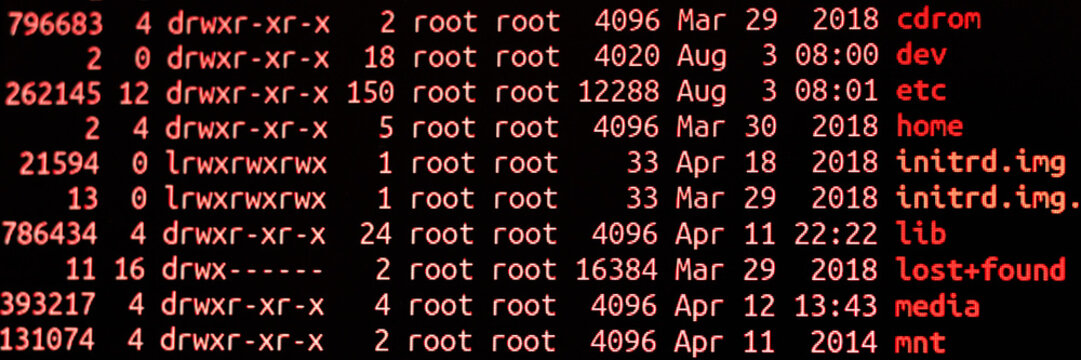 Remote access to network servers. Program terminal view.