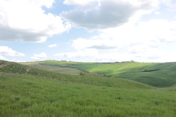 crete senesi