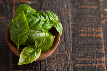 Fresh Green Basil Leaves on a Wooden Table