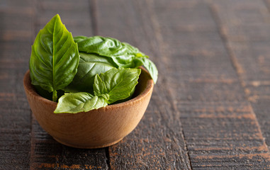Fresh Green Basil Leaves on a Wooden Table