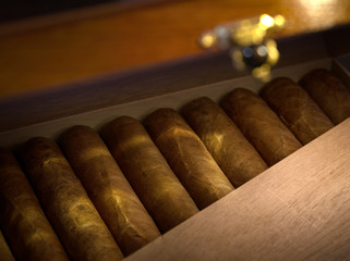 close up view of box of  cuban hand made cigars in wooden humidor