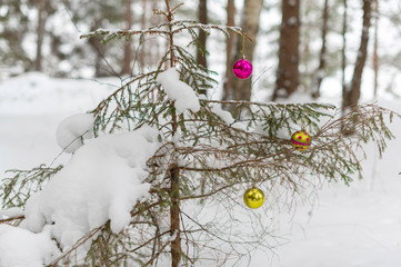 Christmas tree in the forest in the snow with Christmas balls