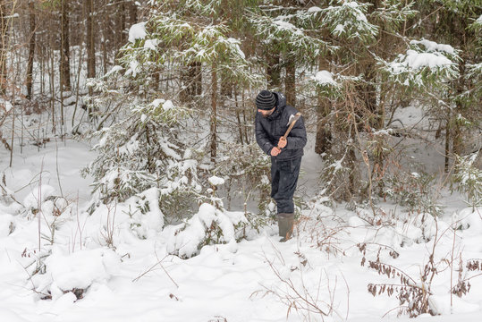  a man with an ax and Christmas balls goes to the forest to cut a Christmas tree. cutting down Christmas tree.
