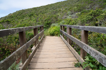 Fototapeta na wymiar View of walking across narrow wooden bridge in the wilderness