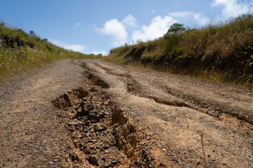 Cracked dirt path in the middle of a hiking trail on sunny day